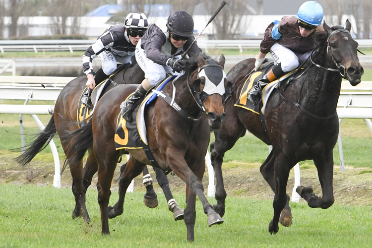Rosewood winning the Fasttrack Insurance Hcp
