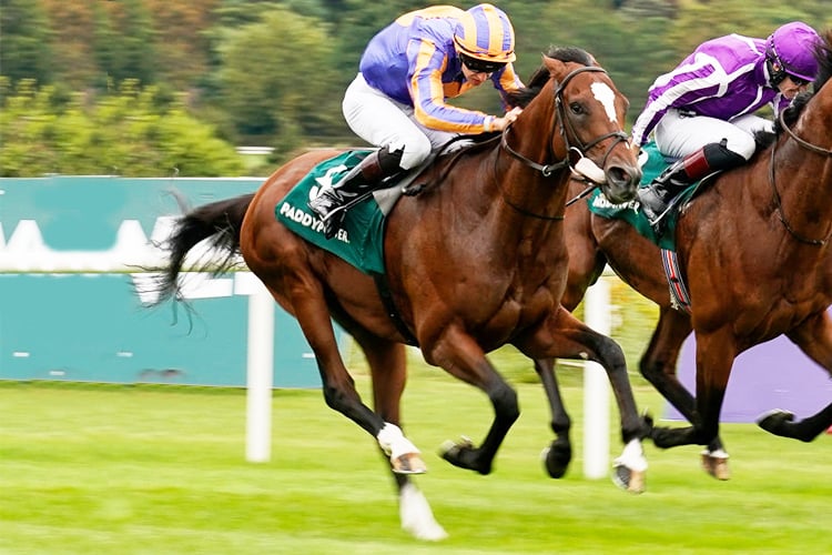 ROSTROPOVICH winning the Paddy's Rewards Club Stakes at Leopardstown in Dublin, Ireland.