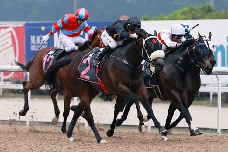 Royal Ruler winning the KRANJI STAKES B