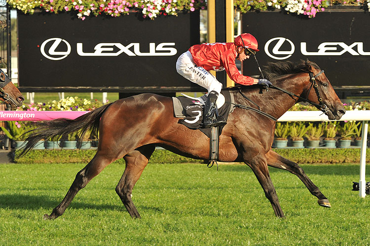 Runaway winning the Vrc St Leger