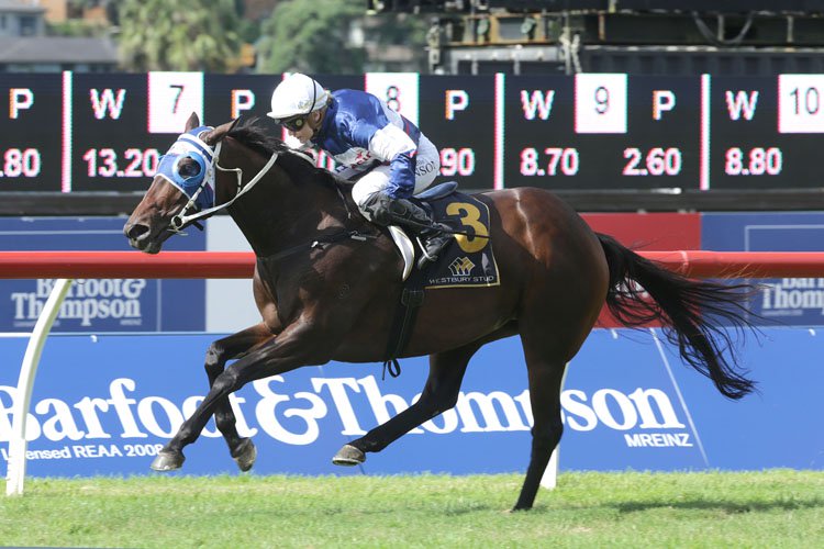 Ruud Not Too winning the Royal Descent Stakes (Bm85)