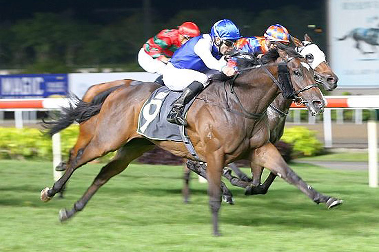 Safeer winning the PGI JOCKEYS CHALLENGE SOUTH AFRICA KRANJI STAKES C