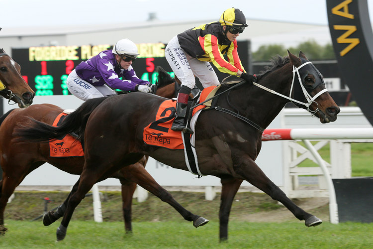 Salamanca winning the Foxbridge Plate Hcp