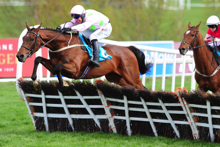 Saldier winning the AES Champion Four Year Old Hurdle (Grade 1)