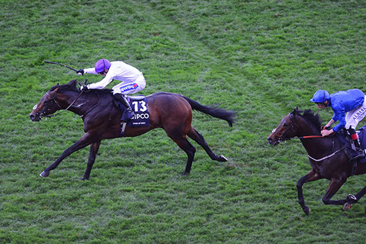 Sands Of Mali winning the Qipco British Champions Sprint Stakes (Group 1)