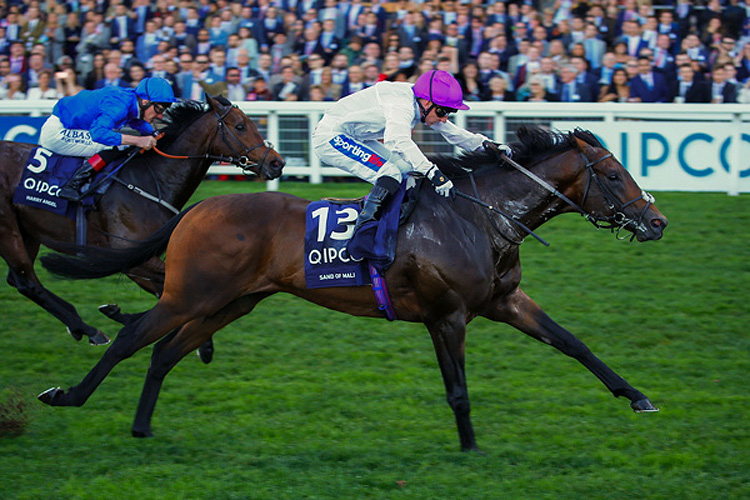 Sands Of Mali winning the Qipco British Champions Sprint Stakes (Group 1)