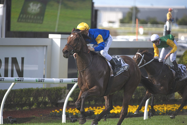 Santa Ana Lane winning the Stradbroke Hcp Santa Ana Lane winning the Stradbroke Hcp