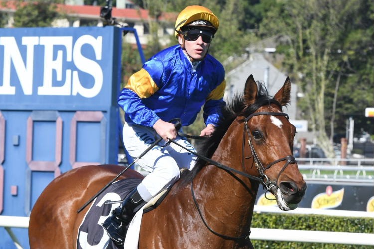 SANTA ANA LANE winning the Santos Coffee Premiere Stakes SANTA ANA LANE winning the Santos Coffee Premiere Stakes