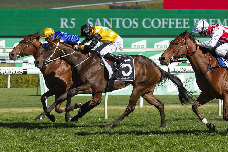 Santa Ana Lane winning the Santos Coffee Premiere Stakes Santa Ana Lane winning the Santos Coffee Premiere Stakes