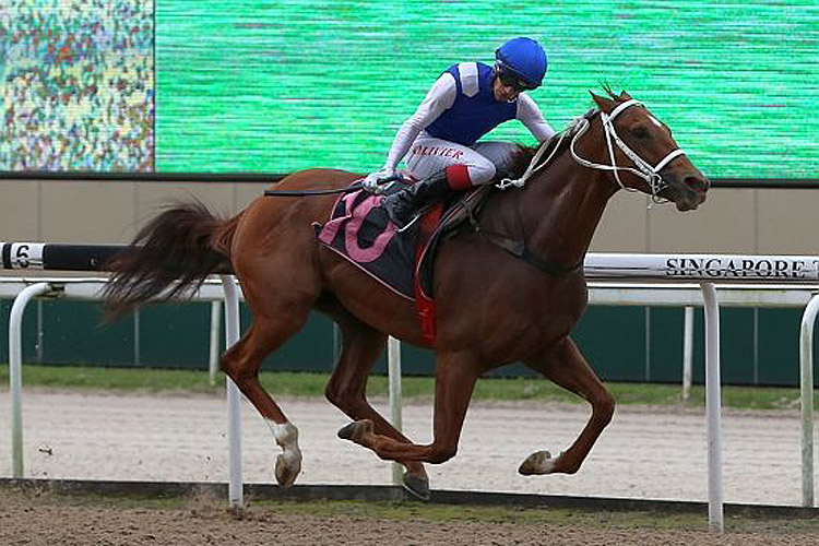 Saraab winning the TABCORP HOLDINGS TROPHY KRANJI STAKES B