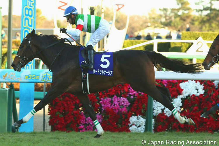 SATURNALIA winning the Hopeful Stakes at Nakayama in Japan.