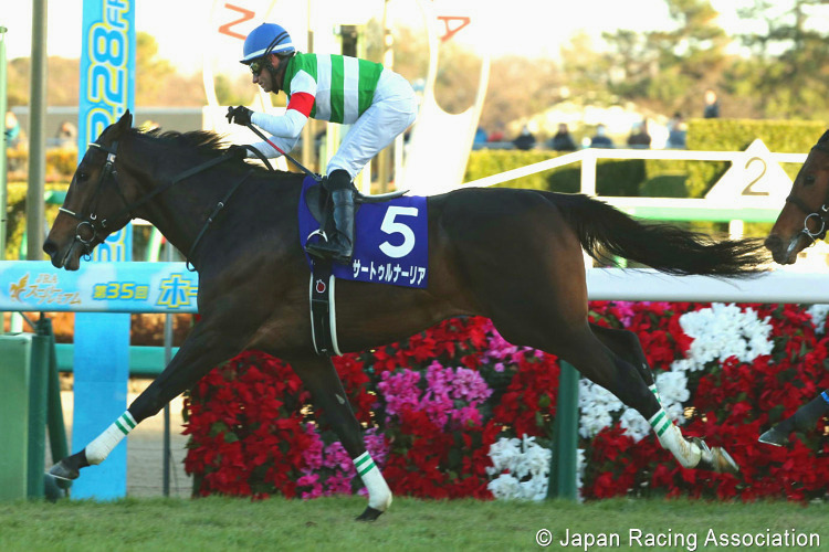 SATURNALIA winning the Hopeful Stakes at Nakayama in Japan. SATURNALIA winning the Hopeful Stakes at Nakayama in Japan.