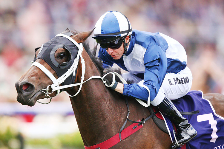 SAVACOOL winning the Twitter Trophy during Oaks Day at Flemington in Melbourne, Australia.