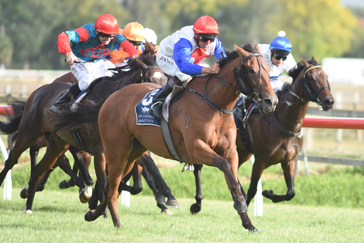 Savvy Coup winning the Little Avondale Lowland Stakes