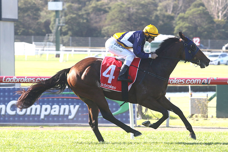 Scottish Rogue winning the Ladbrokes Back Yourself Hcp Scottish Rogue winning the Ladbrokes Back Yourself Hcp