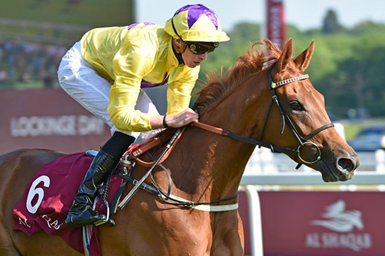 Sea Of Class in action at Newbury last time out Sea Of Class in action at Newbury last time out