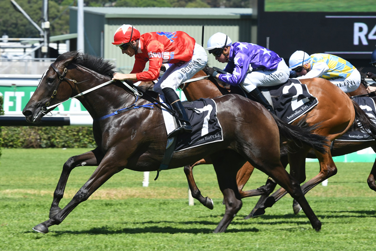 Seabrook is great odds in the Slipper