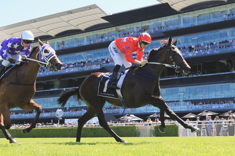 SEABROOK winning the Sweet Embrace Stakes at Royal Randwick in Australia.