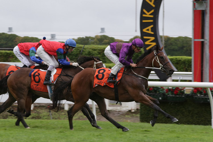Secret Allure winning the Race A Horse With Te Akau 2yo