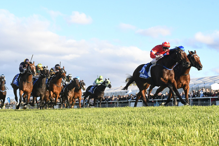 Sedanzer winning the Darley Scone Cup.