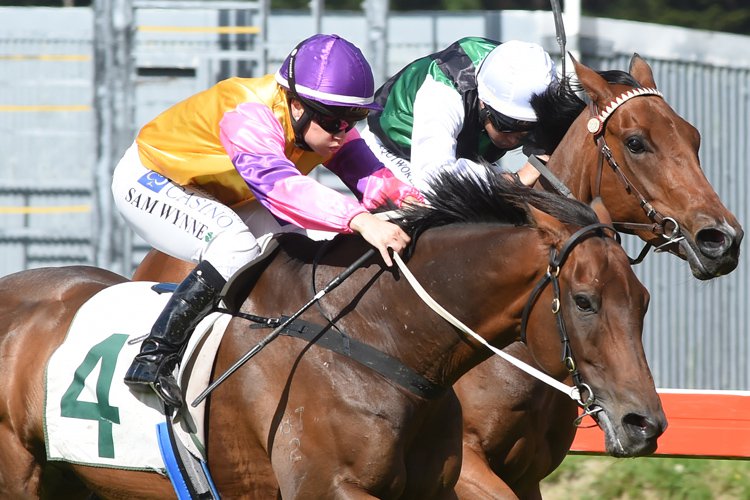 Sergeant Blast winning the Rural Trading Post Hcp