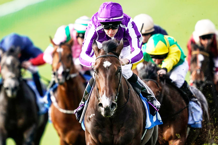 SERGEI PROKOFIEV winning the Newmarket Academy Godolphin Beacon Project Cornwallis Stakes in Newmarket, United Kingdom.