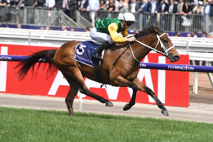 SHILLELAGH winning the Empire Rose Stakes. SHILLELAGH winning the Empire Rose Stakes.