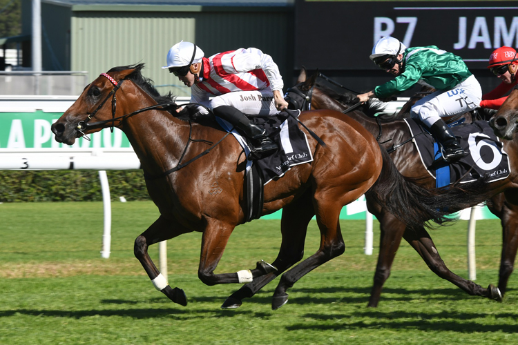 Shoals winning the James Boag's Surround Stakes