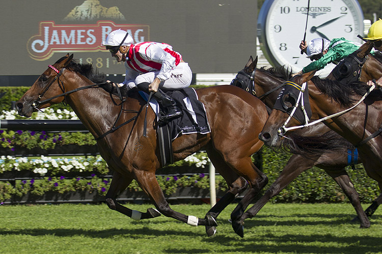 Shoals winning the Surround Stakes Shoals winning the Surround Stakes