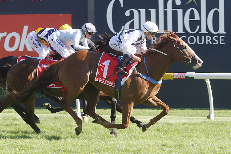 Silentz winning the Ladbrokes (Bm78) Silentz winning the Ladbrokes (Bm78)