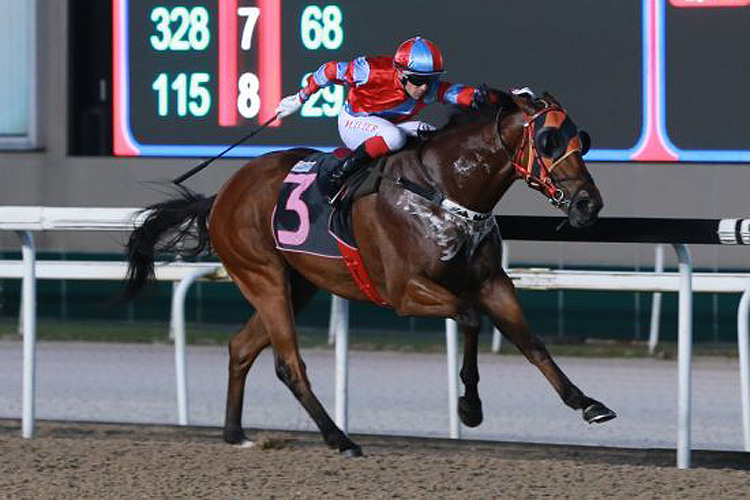 Silkino winning the AUSTRALIAN TURF CLUB TROPHY CLASS 4 PREMIER