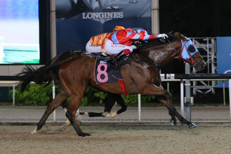 Silkino winning the KRANJI STAKES C