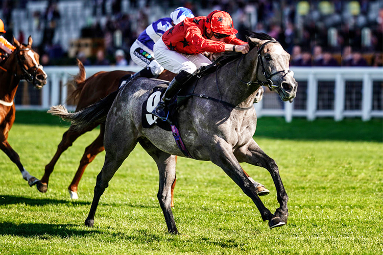 SILVER QUARTZ winning the Weatherbys Handicap Stakes in Ascot, United Kingdom.