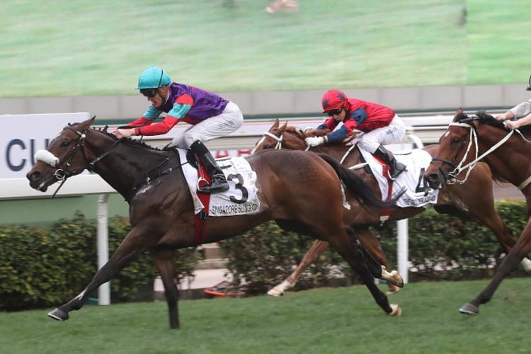 Singapore Sling lands the Hong Kong Classic Cup in style two starts back.