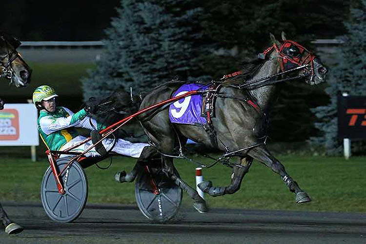 Sintra winning the 2017 Canadian Pacing Derby.