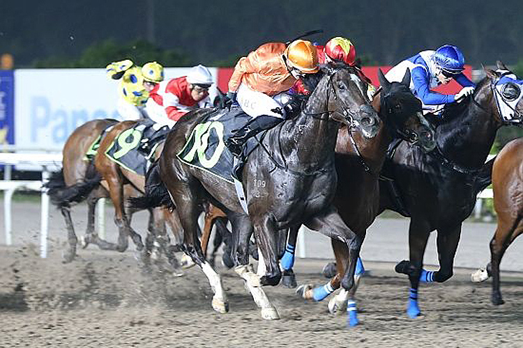 Sir Isaac winning the KRANJI STAKES A