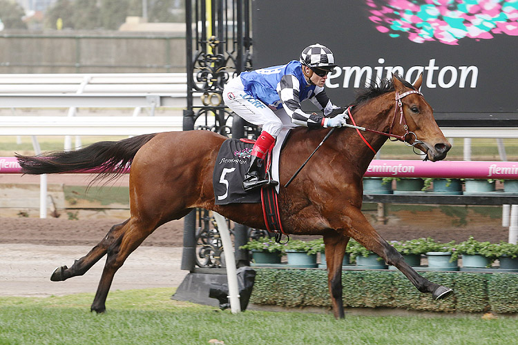 Sixties Groove winning the Vrc-Crv Cup Tour Trophy