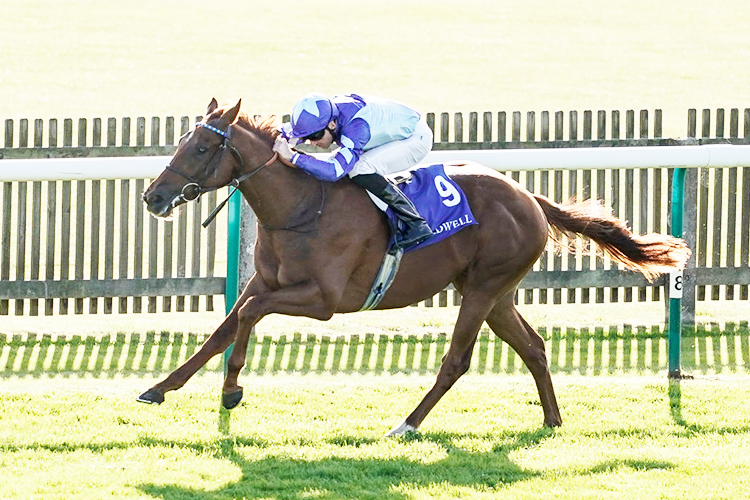 SKARDU winning the Derrinstown British EBF Maiden Stakes in Newmarket, United Kingdom. SKARDU winning the Derrinstown British EBF Maiden Stakes in Newmarket, United Kingdom.