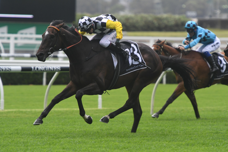 SKY BOY winning the Fugen Construction Villiers Stakes.