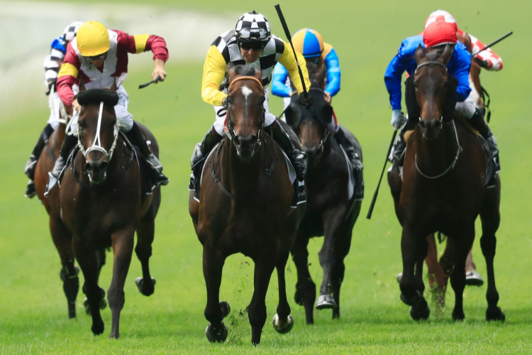 SKY BOY winning the Villiers Stakes during Sydney Racing at Royal Randwick in Sydney, Australia.