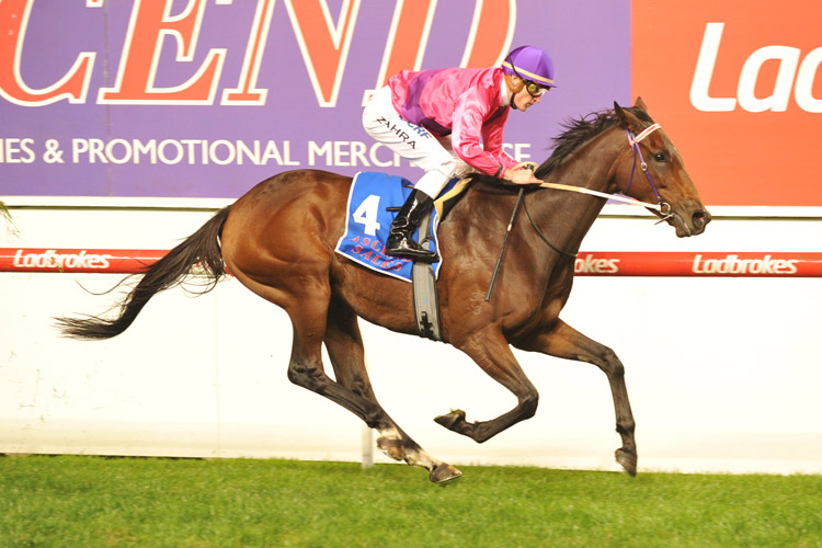 Spanish Reef winning the Ascend Sales Sunline Stakes