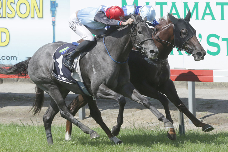 Spanish Whisper winning the J Swap Matamata Breeders' Stks