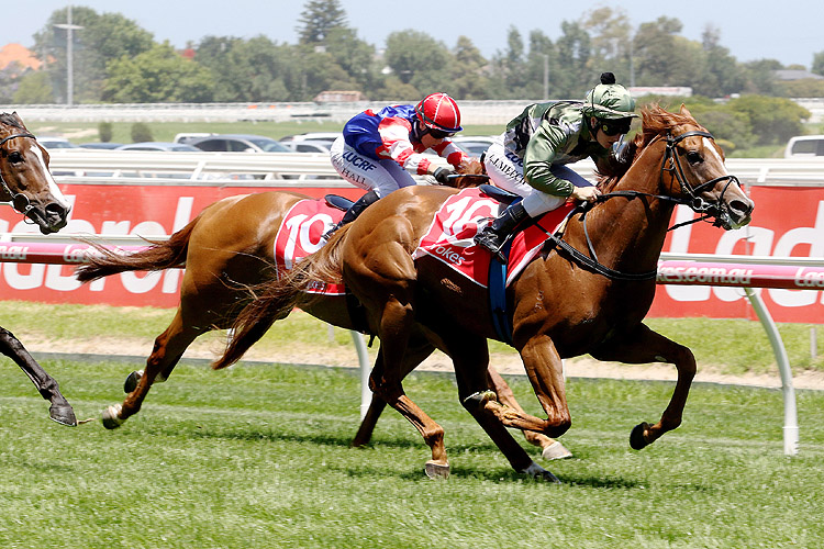 Star Fall winning the Joe Brown (Bm70) Star Fall winning the Joe Brown (Bm70)