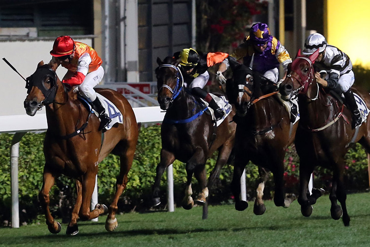 Star Majestic winning the POTTINGER PEAK HANDICAP Star Majestic winning the POTTINGER PEAK HANDICAP
