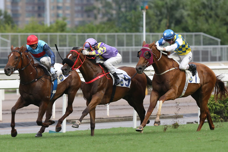 Star Shine winning the H.K. R'horse Owners Trophy-C2 Star Shine winning the H.K. R'horse Owners Trophy-C2