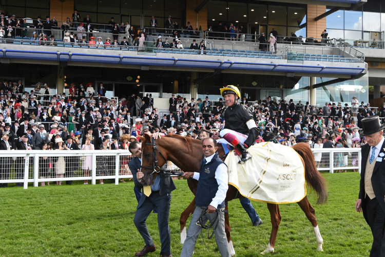 Stradivarius returning after, winning the Gold Cup (Group 1) (British Champions Series)