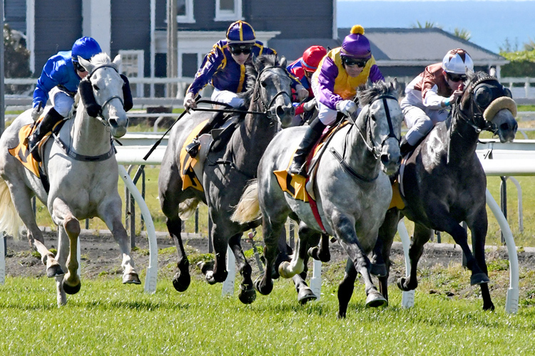 Stratocaster winning the Powerworx Greys Hcp