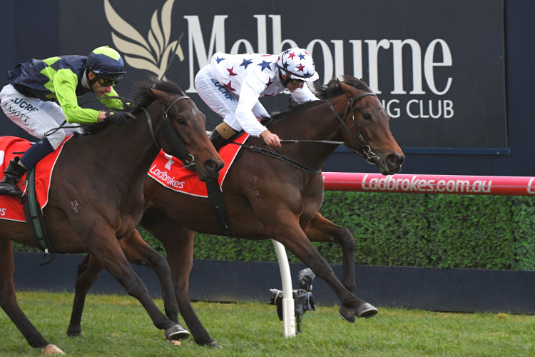 SUNLIGHT winning the Quezette Stakes at Caulfield in Australia.