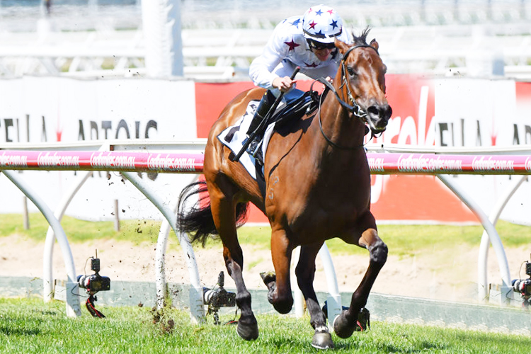SUNLIGHT winning the Thoroughbred Club Stakes during Melbourne Racing at Caulfield in Melbourne, Australia.