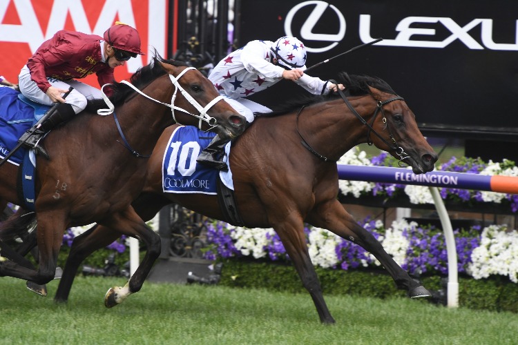 SUNLIGHT winning the Coolmore Stud Stakes